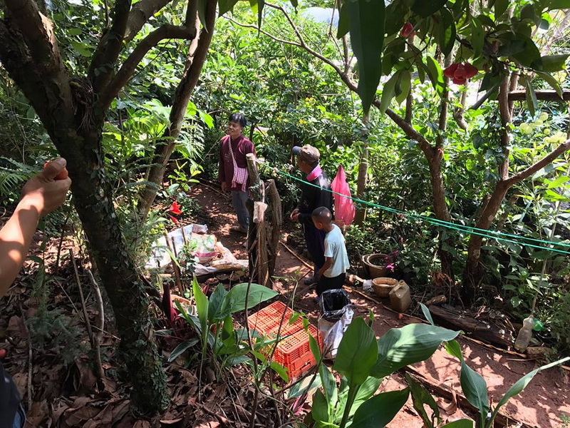 mae tho national park, mae tho park, mae tho