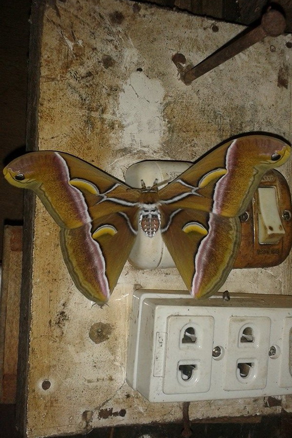 mae tho national park, mae tho park, mae tho