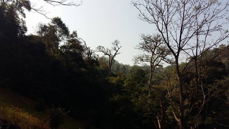 mae tho national park, mae tho park, mae tho