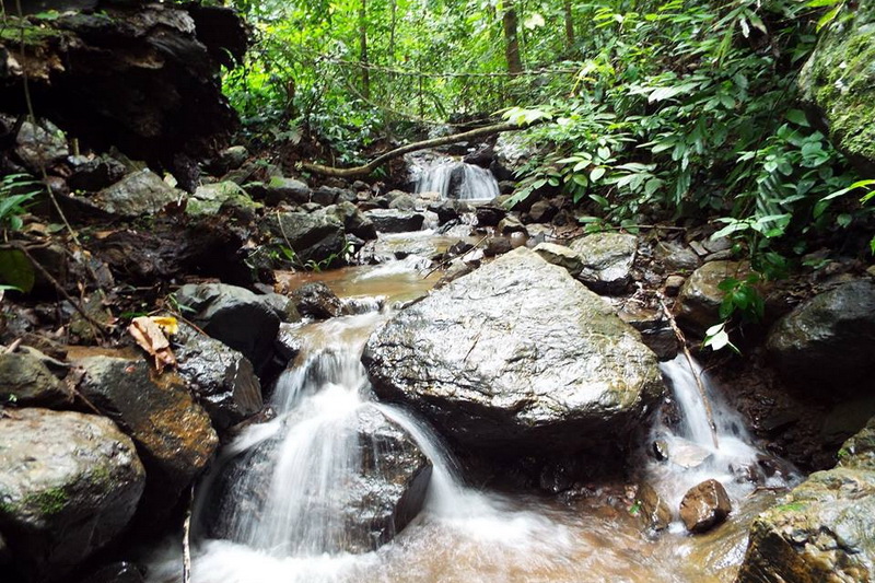 srilanna national park, srilanna, sri lanna national park, sri lanna