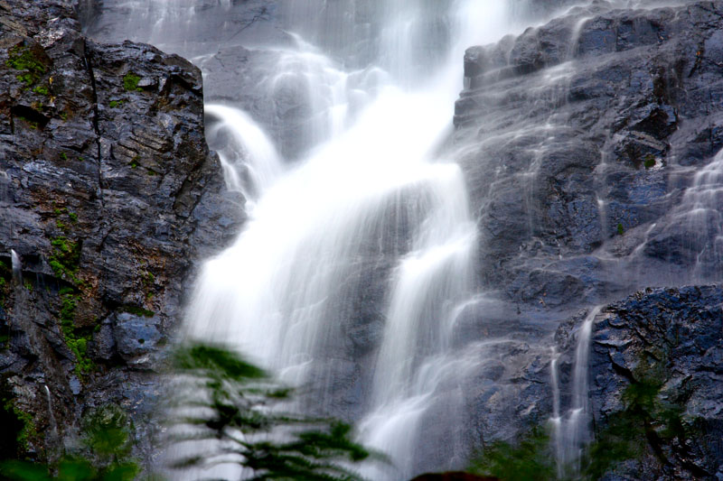 attractions in chiang mai, chiang mai attractions, srilanna national park, srilanna, sri lanna national park, sri lanna