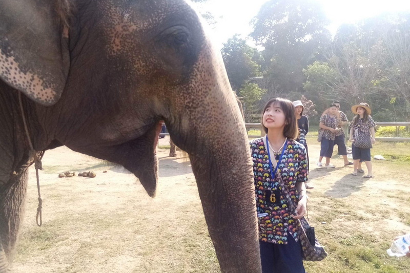 Kanta Elephant Sanctuary