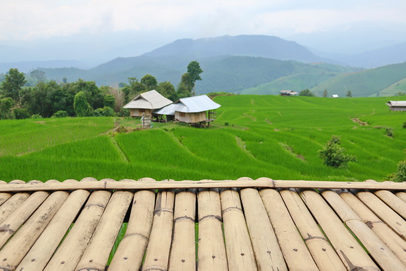 mae jam, rice terrace in mae jam, step rice field in mae jam, mae jam village