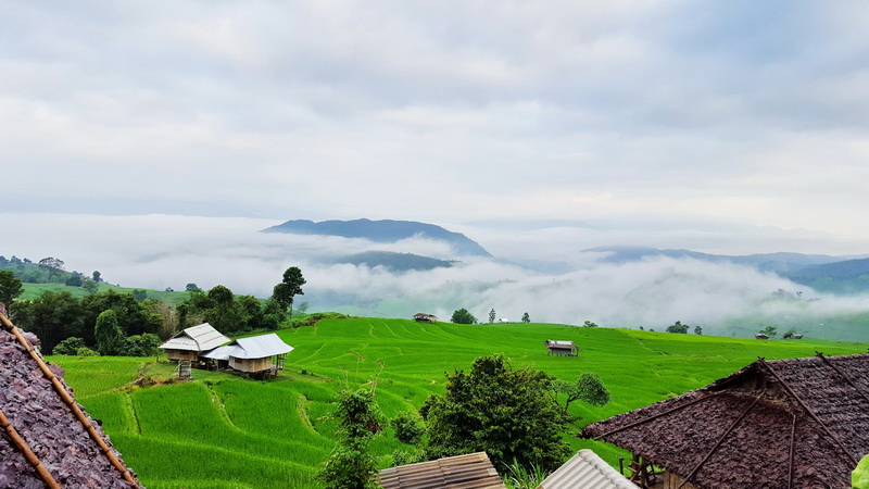 mae jam, rice terrace in mae jam, step rice field in mae jam, mae jam village