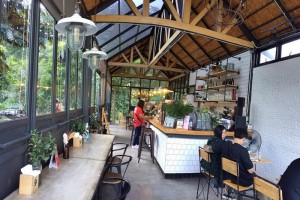 Ta Chang Hill, coffee shops in chiang mai, the best coffee shops in chiang mai
