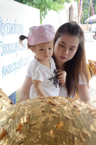 wat rong suea ten, rong suea ten temple, wat rong sueaten, rong sueaten temple