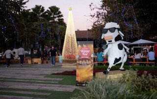 singha park, singha park chiang rai