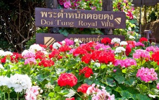 doi tung palace, doi tung, mae fah luang garden