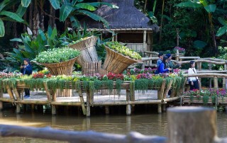 doi tung palace, doi tung, mae fah luang garden