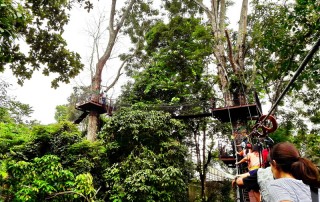 doi tung palace, doi tung, mae fah luang garden