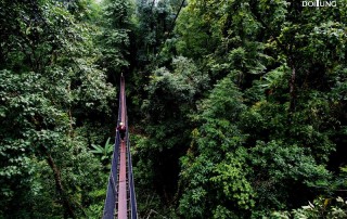 doi tung palace, doi tung, mae fah luang garden