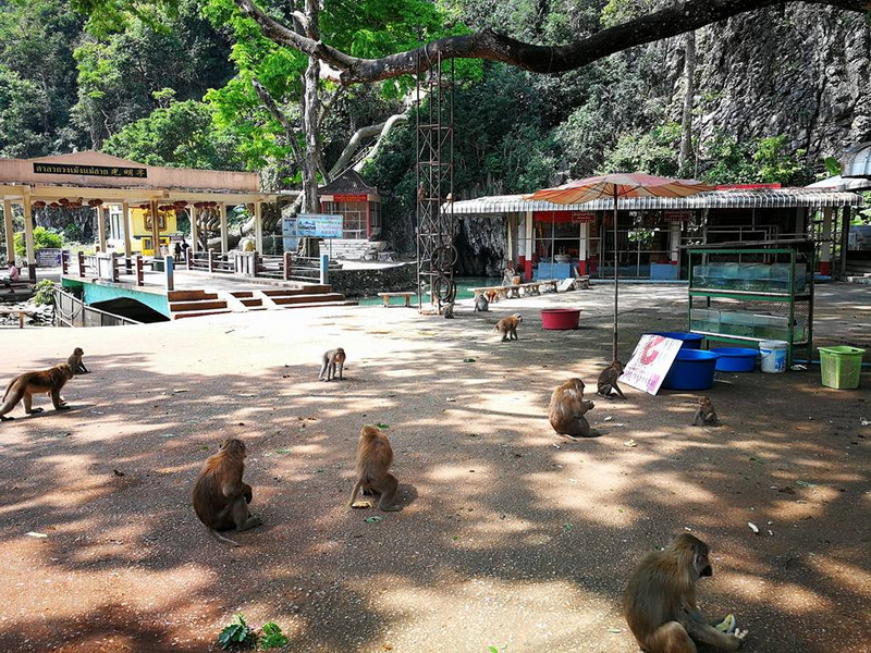 tham pum and tham pla cave,tham pla, wat tham pla, tham pla temple
