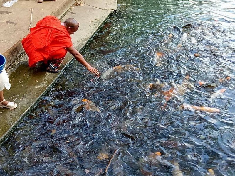 tham pum and tham pla cave, tham pla, wat tham pla, tham pla temple