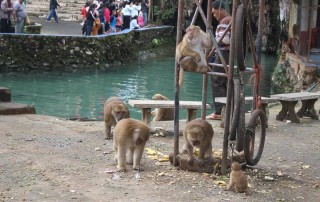 tham pum and tham pla cave, tham pum, tham pla, wat tham pla. tham pla temple