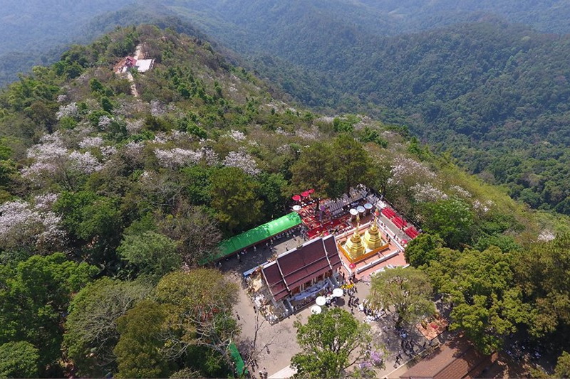 Wat Phathat Doi Tung