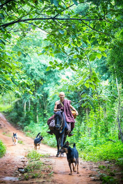 wat tham pa acha thong, tham pa acha thong temple, acha thong forest monastery