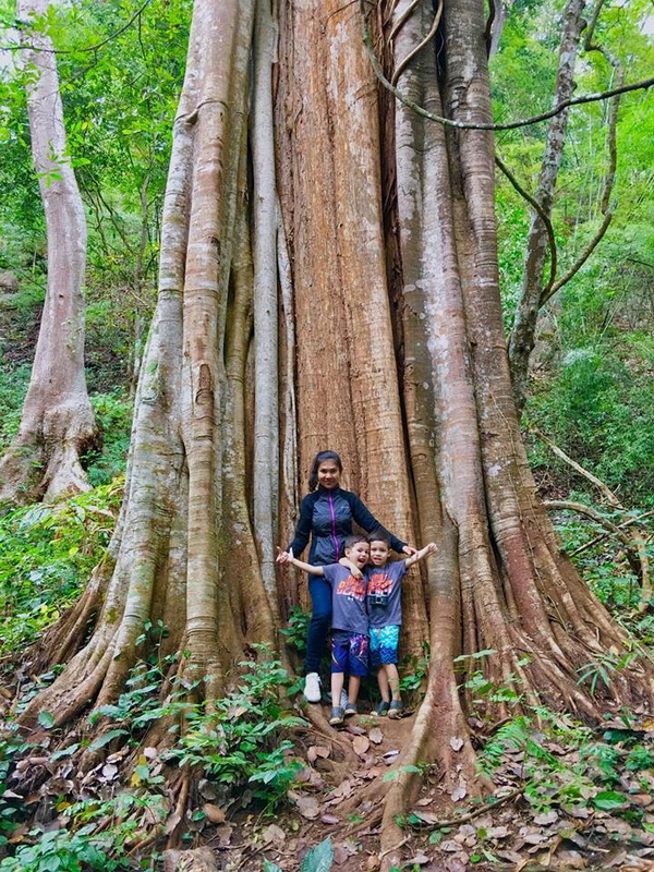 mae yen waterfall, maeyen waterfall, mae yen waterfalls, maeyen waterfalls, mae yen waterfall in pai