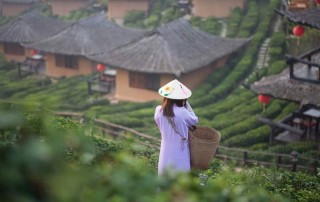 baan rak thai, ban rak thai, baan rak thai in mae hong son, ban rak thai in mae hong son