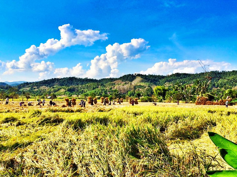 ban huai hom karen village, ban huai hom, baan huai hom, huai hom karen village