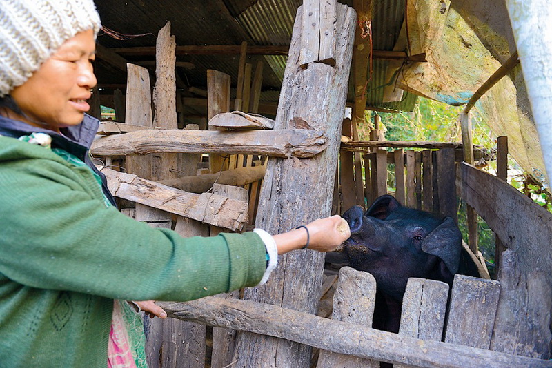 ban huai hom karen village, ban huai hom, baan huai hom, huai hom karen village