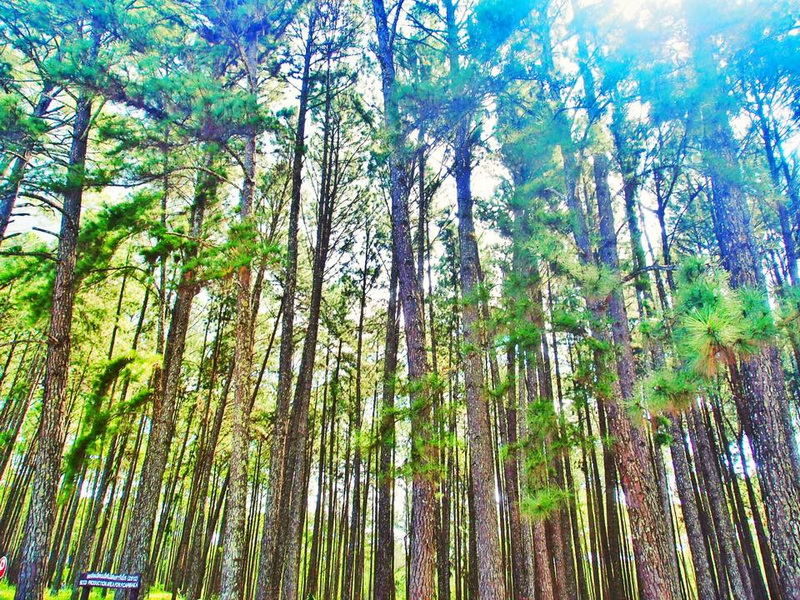 ban huai hom karen village, ban huai hom, baan huai hom, huai hom karen village