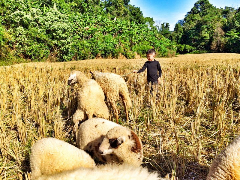 ban huai hom karen village, ban huai hom, baan huai hom, huai hom karen village