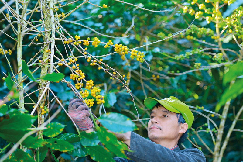 mae la noi royal project, ban huai hom karen village, ban huai hom, baan huai hom, huai hom karen village