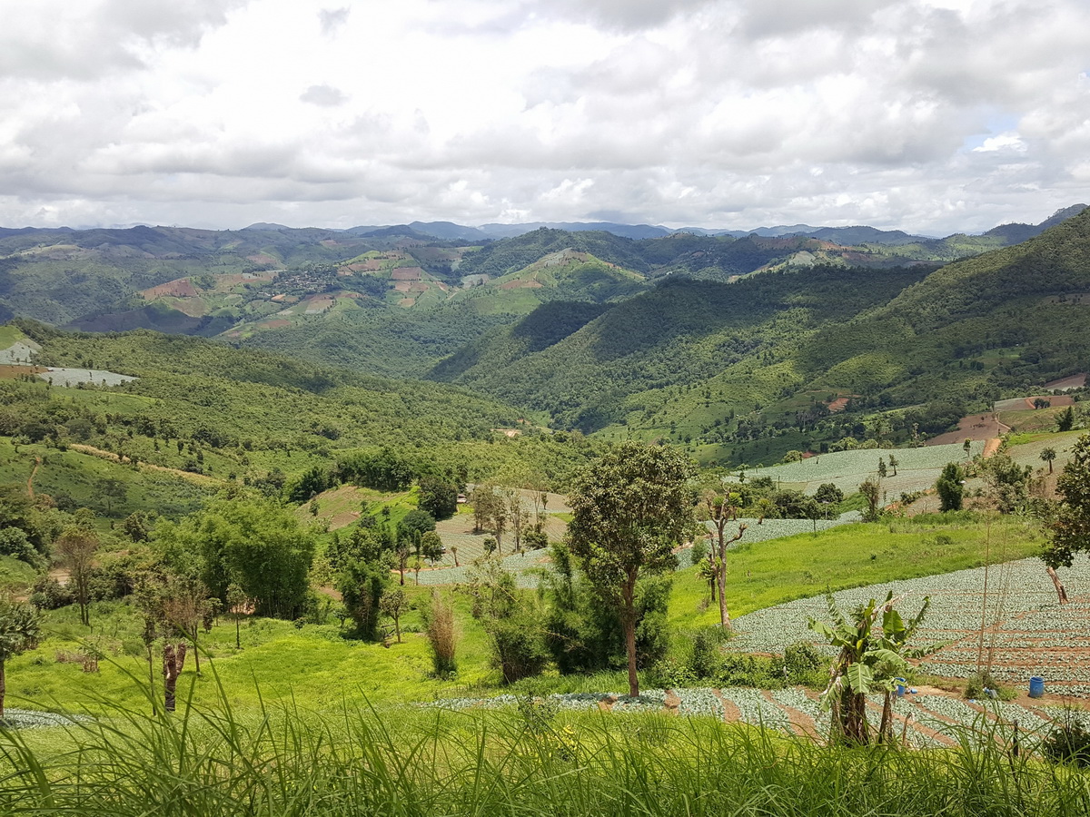 salawin national park, salawin forest park, national park in mae hong son, mae hong son national park