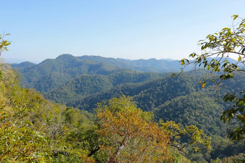 salawin national park, salawin forest park, national park in mae hong son, mae hong son national park
