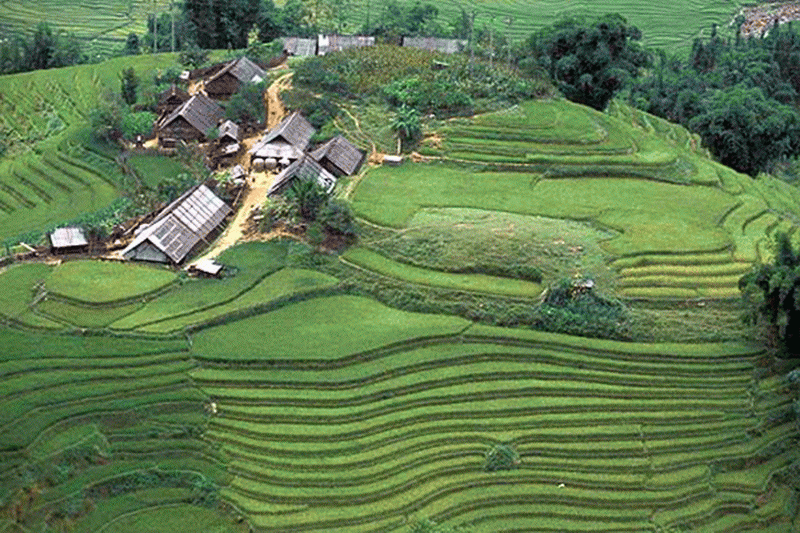 the microwave hmong village, microwave hmong village, microwave mhong village, the microwave mhong village