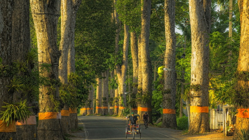 old rubber tree road, rubber tree road, old road chiang mai to lamphun, old road chiang mai lamphun, rubber road chiang mai lamphun, old rubber road, Highway No.106, Highway No.106 chiang mai lamphun