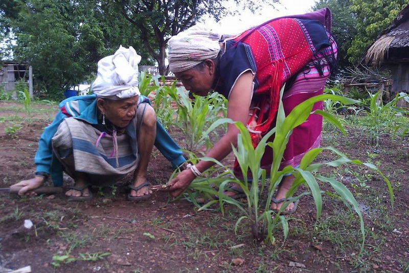 baan phra bat huai tom, baan phra bat huai tom village, baan phra bat huai tom community, ban phra bat huai tom, ban phra bat huai tom village, ban phra bat huai tom community, ban huai tom, ban huai tom village, baan huai tom, baan huai tom village, baan huai tom community, ban huai tom otop