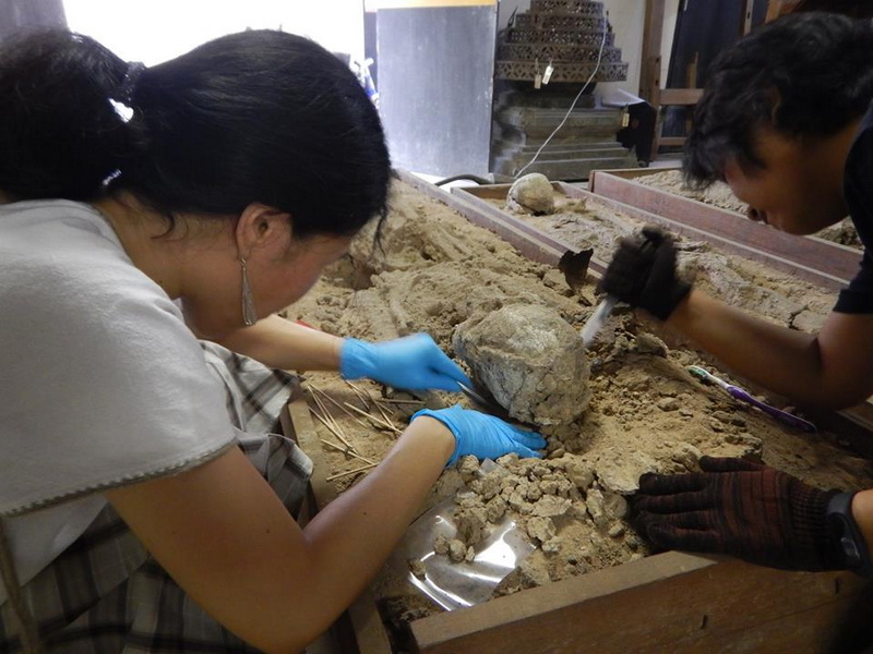 haripunchai national museum, hariphunchai national museum, hripunchai national museum, hriphunchai national museum