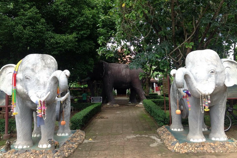 kou chang-kou ma, kou chang - kou ma, kou chang-kou ma lamphun, kou chang - kou ma lamphun, ku chang – ku ma, ku chang-ku ma, ku chang – ku ma lamphun, ku chang-ku ma lamphun