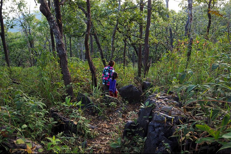 mae ping national park, mae ping national park lamphun, mae ping forest park