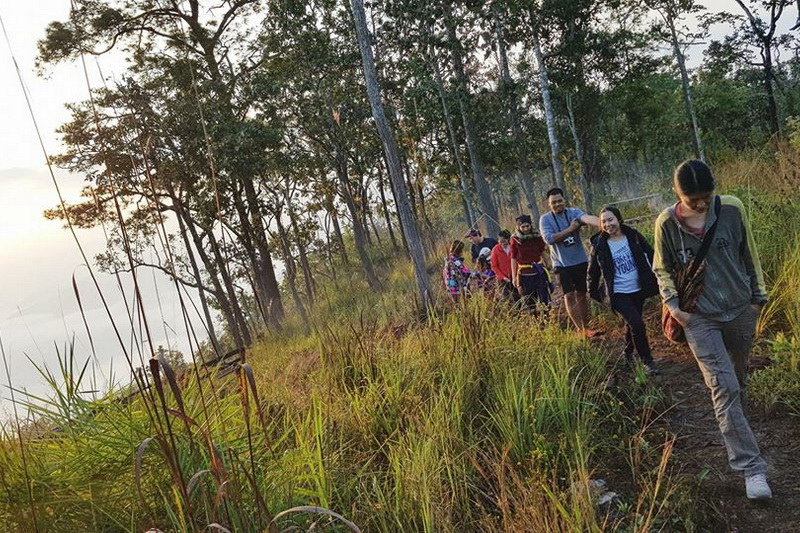 mae ping national park, mae ping national park lamphun, mae ping forest park