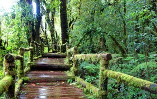 all highlights mae hong son loop tour, 4 days 3 nights all highlights mae hong son loop tour, 4 days all highlights mae hong son loop tour, all highlights chiang mai to mae hong son loop tour, Ang Ka Doi Inthanon, Ang Ka Luang, doi inthanon, inthanon national park, doi inthanon national park, inhanon