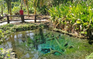 buatong waterfall, buatong sticky waterfall, sticky waterfall, bua tong waterfall
