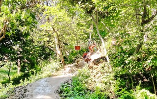 buatong waterfall, buatong sticky waterfall, sticky waterfall, bua tong waterfall