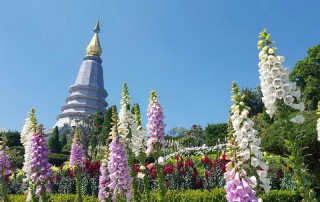 all highlights mae hong son loop tour, 4 days 3 nights all highlights mae hong son loop tour, 4 days all highlights mae hong son loop tour, all highlights chiang mai to mae hong son loop tour, Queen Pagoda DoiInthanon, doi inthanon, inthanon national park, doi inthanon national park, inhanon