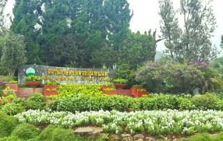 Royal Project DoiInthanon, doi inthanon, inthanon national park, doi inthanon national park, inhanon