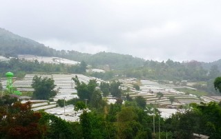 Royal Project DoiInthanon, doi inthanon, inthanon national park, doi inthanon national park, inhanon
