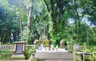 tour chiang mai to salawin river, 2 days 1 night tour chiang mai to salawin river , 2 days tour chiang mai to salawin river, 2 days tour from chiang mai to salawin river, tour from chiang mai to salawin river, Summit DoiInthanon, doi inthanon, inthanon national park, doi inthanon national park, inhanon