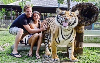 tiger kingdom chiang mai, chiang mai attractions