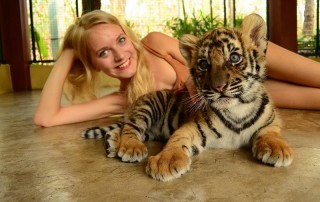 tiger kingdom chiang mai, chiang mai attractions