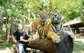 tiger kingdom chiang mai, chiang mai attractions