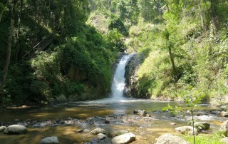 chae son national park, chae son forest park, chaeson national park, chaeson forest park, chae son national park lampang, chae son forest park lampang, chaeson national park lampang, chaeson forest park lampang