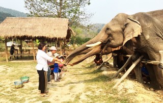 karen elephant camp, chiang mai elephant camp, local elephant camp in chiang mai