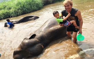 karen elephant camp, chiang mai elephant camp, local elephant camp in chiang mai