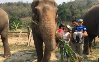 karen elephant camp, chiang mai elephant camp, local elephant camp in chiang mai